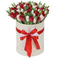 Червоні і білі тюльпани в коробці