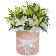 Лілії в коробці