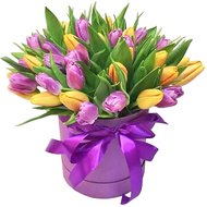 Незвичайна коробка з тюльпанами