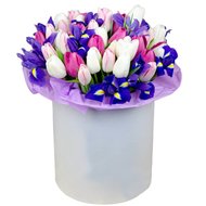 Ніжна коробка тюльпанів та ірисів