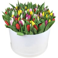 Величезна коробка тюльпанів