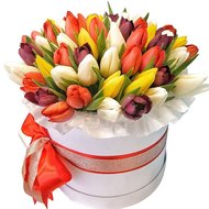 Подарункова коробка тюльпанів