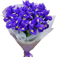Подарунковий букет ірисів