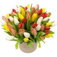 Різнокольорові тюльпани в коробці