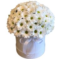 Ромашки в коробці