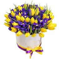 Шикарна коробка з тюльпанами і ірисами