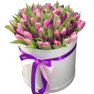 Тюльпани у композиції