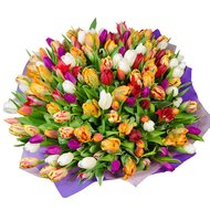 Яскравий великий букет тюльпанів
