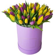 Жовто-фіолетові квіти в коробці