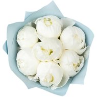 Білі півонії імпортні