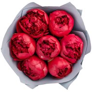 Невеликий букет з півоній