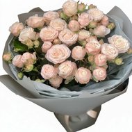 Півонієподібна троянда Бомбастик