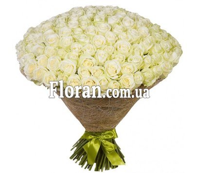 100 белых роз