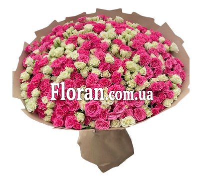 101 кустовая роза