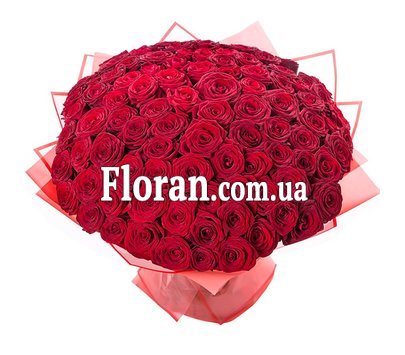 101 роза 60 см