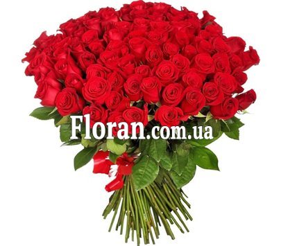 101 роза эквадор