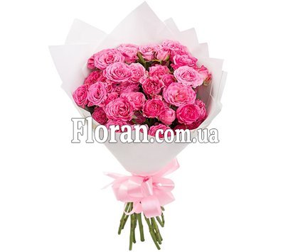 11 кущових троянд