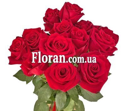 13 красных роз