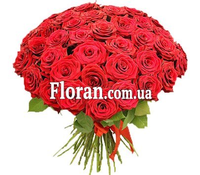 51 одна троянда