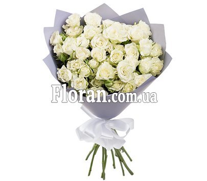 Білі кущові троянди