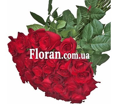 Величезні троянди