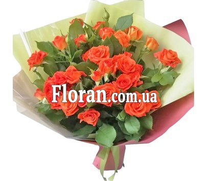 Помаранчева кущова троянда