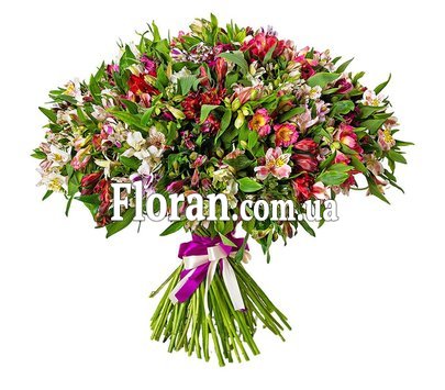 101 альстромерія