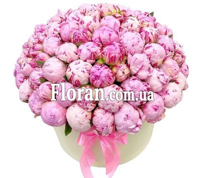 101 пион в коробке