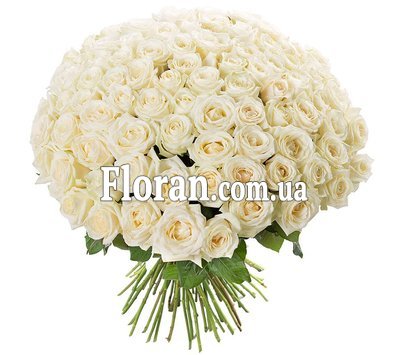 101 троянда біла