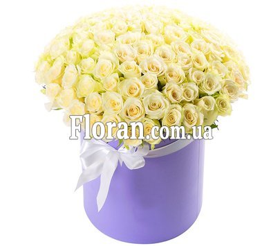 101 троянда в коробці