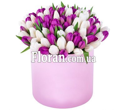 101 тюльпан в коробці