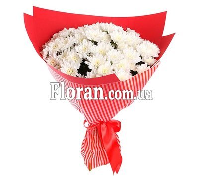 15 хризантем