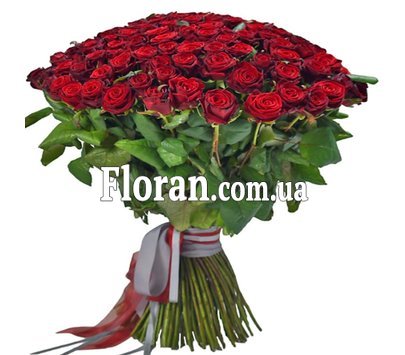 151 red rose