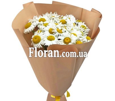 25 ромашок