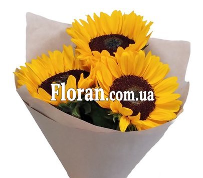 3 соняшники