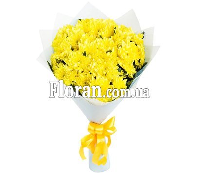 5 chrysanthemums