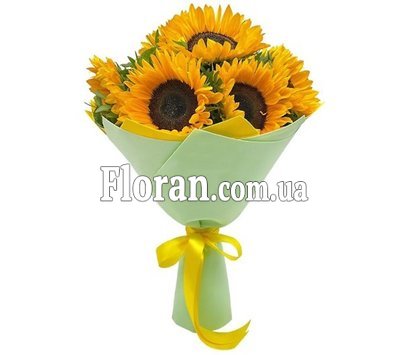 7 соняшників