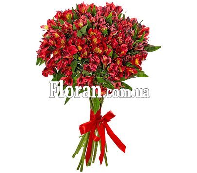 Альстромерії червоні