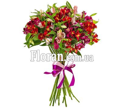 Альстромерія букет