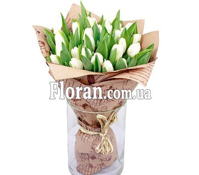 Білі тюльпани