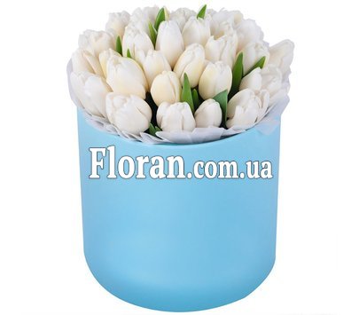 Білі тюльпани в коробці