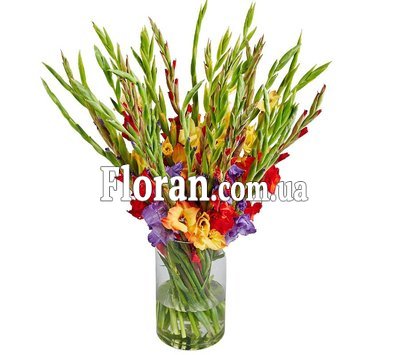 Большой букет гладиолусов