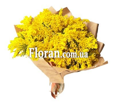 Великий букет з мімози