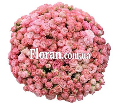 Большой букет кустовых пионовидных роз