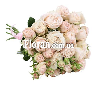 Бомбастик троянда в букеті