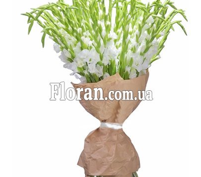 Букет білих гладіолусів