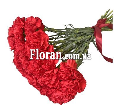 Букет цветов гвоздики