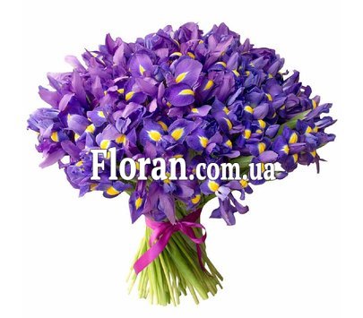 Букет із 101 ірису