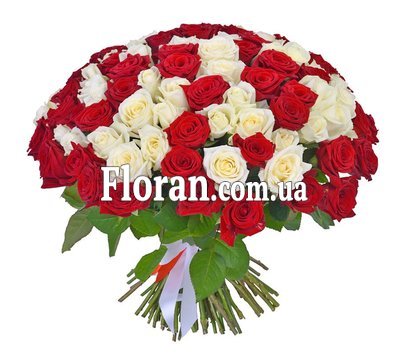 Bouquet of 101 red and white roses