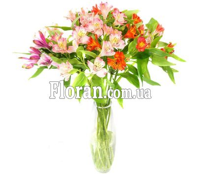 Bouquet of 11 alstroemerias